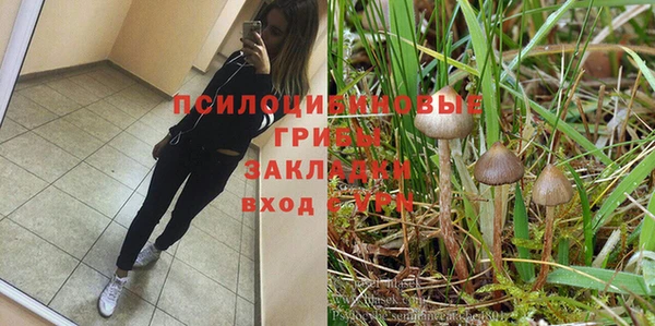 амф Алексин