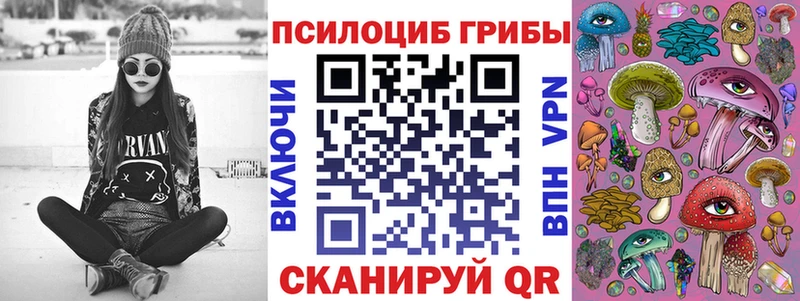Галлюциногенные грибы Psilocybe  Ивдель 